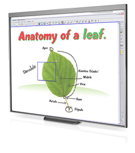 Smartboard Dvit Driver Download Smartboard Dvit Driver Download