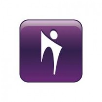 SMART Bridgit logo