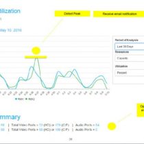 Polycom Capacity Dashboard snapshot